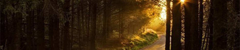 Emmanuel Baptist Church of Indian Trail